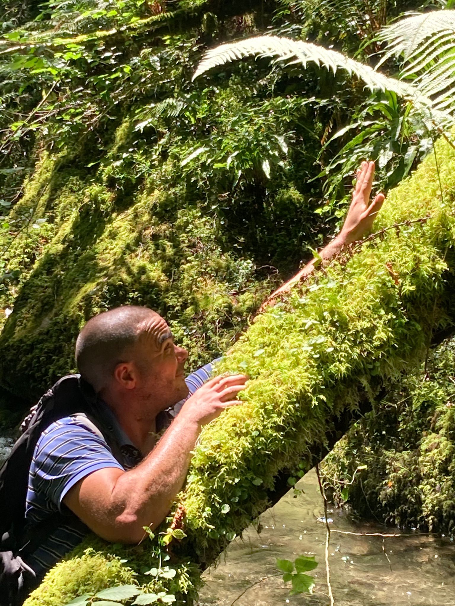 Profil de Evann, 41 ans, Rencontre à Pissange